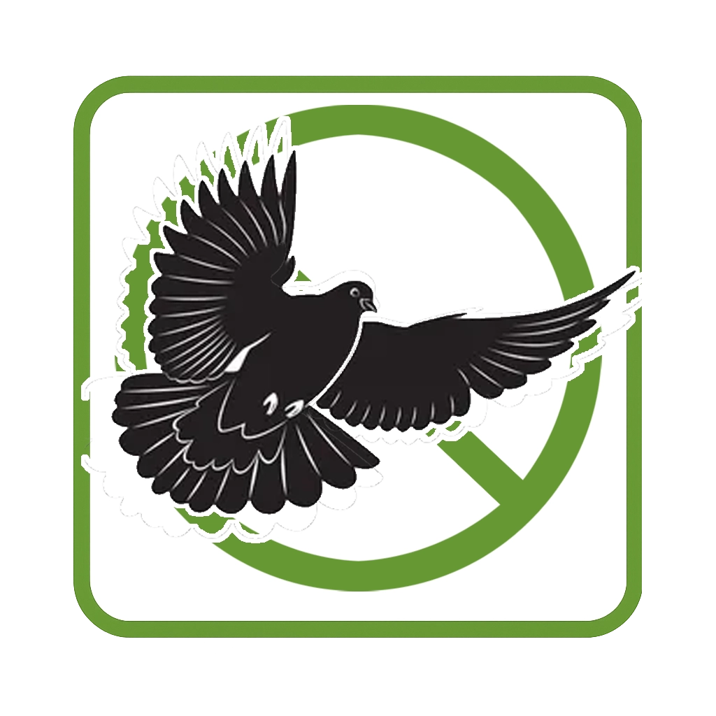 Lutte contre les pigeons