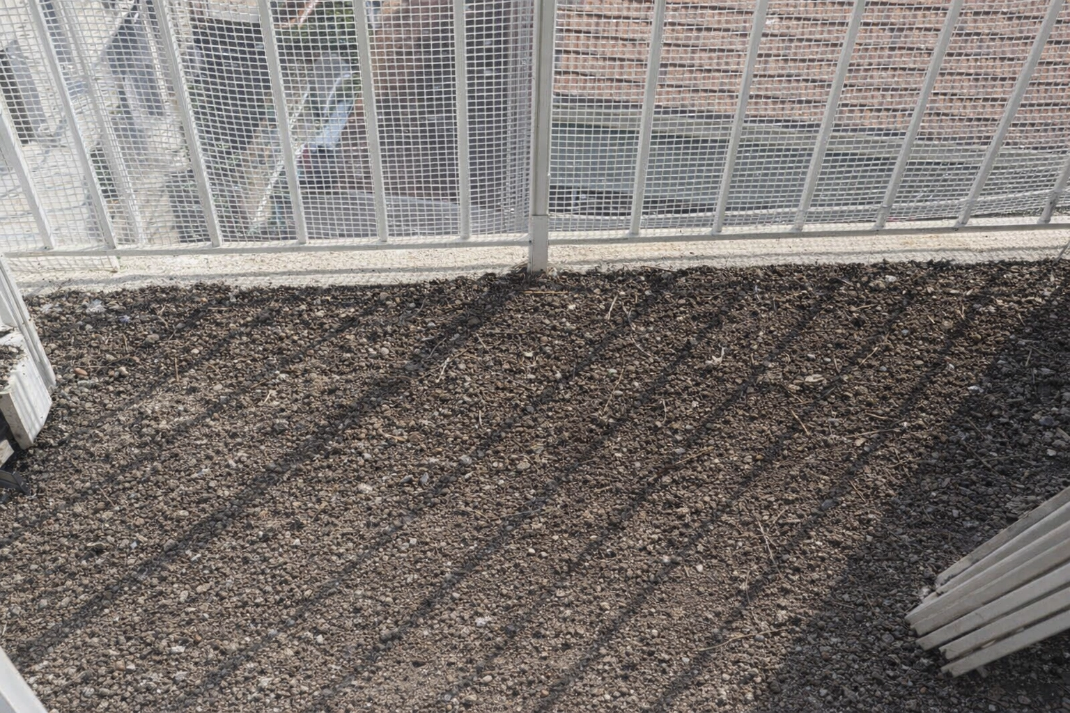 nettoyage fientes de pigeon désinfection surface