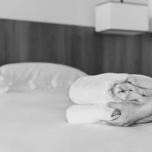gestion des punaises de lit pour hôtels